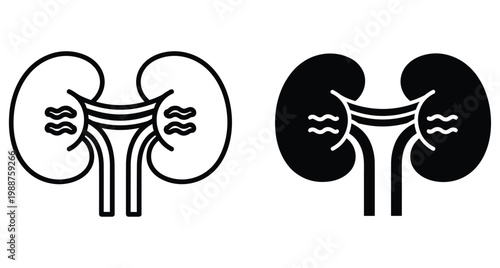 Human kidney organ icons in outline and solid silhouette styles for medical anatomy healthcare biology and renal system design projects