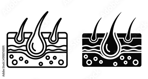 Human skin cross section hair follicle anatomy icon set showing epidermis dermis and root layers for medical and dermatology education