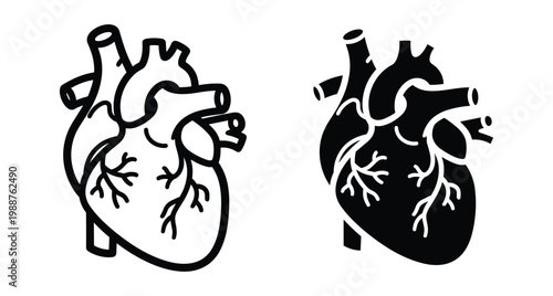 Human heart anatomical icon set with outline and solid black silhouette versions for medical healthcare biology and science education design