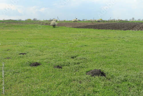 Tableau sur toile A grassy field with a dirt mound