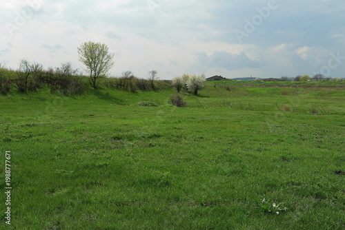 Fotografie A grassy field with trees in the background