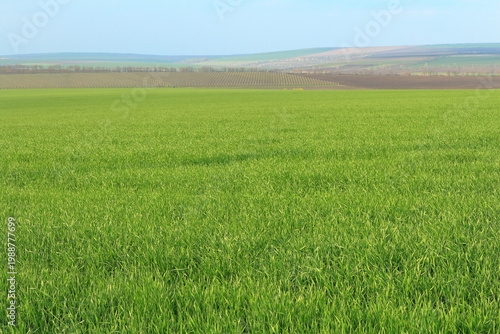 Obraz na płótnie A grassy field with a hill in the background with Konza Prairie Natural Area in