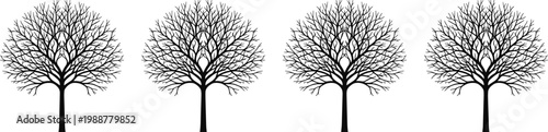 Tree canopy silhouette illustration set, symmetrical forest design, rounded branching art, outdoor nature graphic, decorative symbol vector, black-and-white drawingTree canopy silhouette illustration