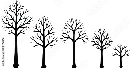 Tree size variation silhouette illustration set, nature growth comparison design, forest development art, outdoor environment graphic, flat vector drawing