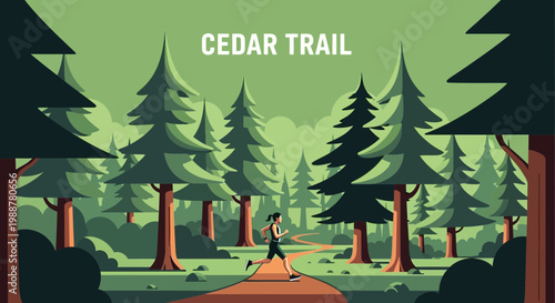 Woman Runs Along Cedar Trail In The Forest During A Bright Summer Day