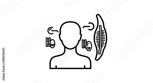 Human Body Oxygenation and Muscle Energy Metabolism Concept Icon