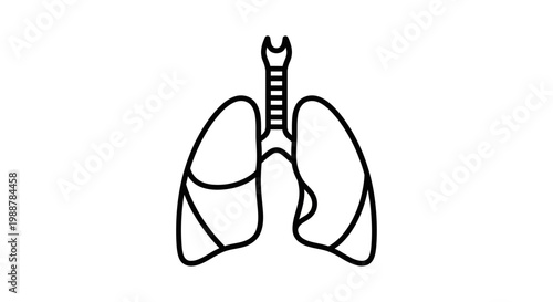 Human Lungs Icon, Respiratory System, Medical Symbol, Line Art