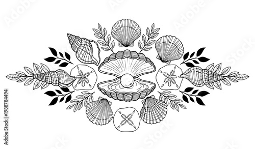 Seashell symmetry vector illustration clam pearl black white floral marine