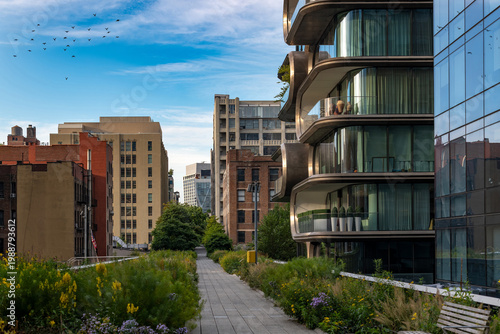 Fotografie The famous High Line Park linear path in Manhattan, offering elevated views of t
