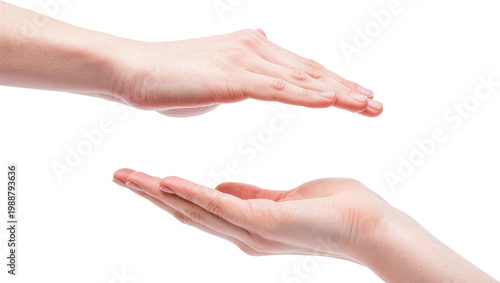 Photos Two open human hands cupped and reaching towards each other, isolated on transpa