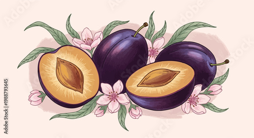 whole and halved purple plums with visible pits, surrounded by delicate pink flowers and green leaves. The soft, organic aesthetic is perfect for artisanal food packaging