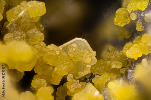 Obraz na plátne yellow Mimetite with yellow Wulfenite