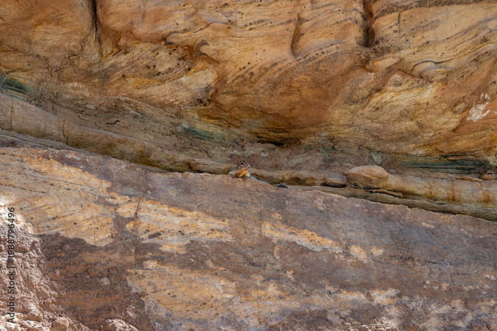 Obraz premium natural stone background