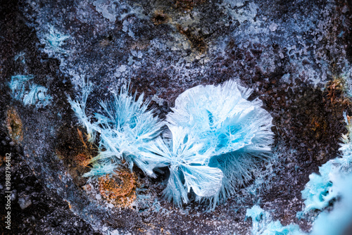 Serpierite crystals. Specimen from Couéron slag, loire Atlantique, France. Micro photography extreme close-up. microscope mineral crystal photography for Scientific use.
