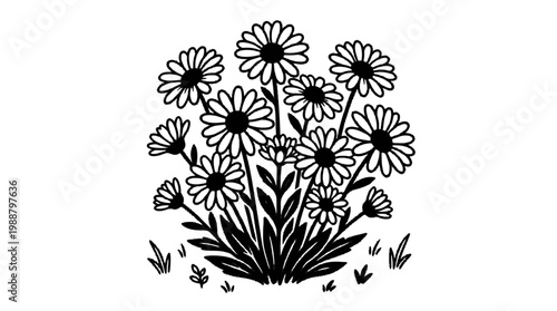 Black and White Daisy Flower Bouquet Illustration for Spring Floral Design Projects and Nature Inspired Graphic Elements for Web