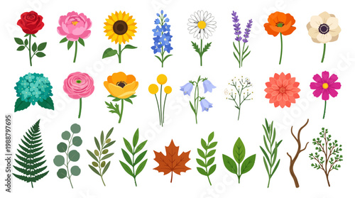 Collection of Colorful Spring Flowers and Green Botanical Leaves Isolated on White Background for Floral Design and Wedding