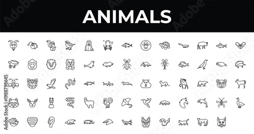 outline animals icons set - squid, seal, flamingo. editable vector for web and mobile ui