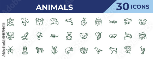 outline animals icons set - ladybug, wolf, mosquito. editable vector for web and mobile ui