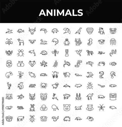 outline animals icons set - bee, clown fish, mosquito. editable vector for web and mobile ui