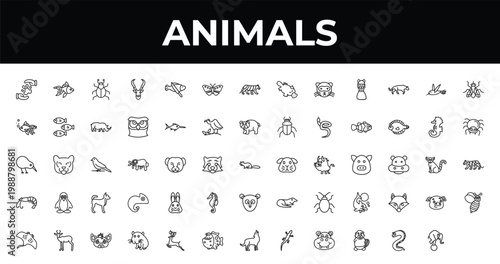 outline animals icons set - butterfly with wings, spider, hyena. editable vector for web and mobile ui