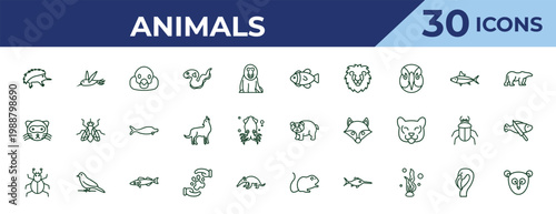 outline animals icons set - clownfish, ferret, mite. editable vector for web and mobile ui