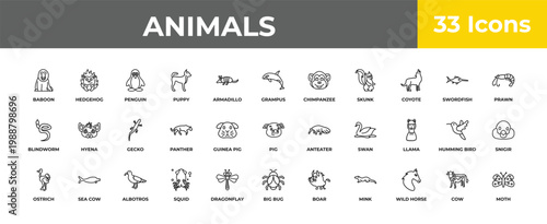 outline animals icons set - gecko, sea cow, moth. editable vector for web and mobile ui