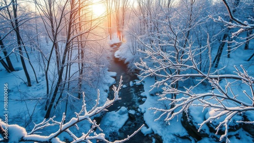 Winter Forest Frame With Frosted Branches Over Calm River at Sunset, High Angle View Background
