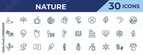outline nature icons set - larch, poplar leaf, cucumber tree tree. editable vector for web and mobile ui
