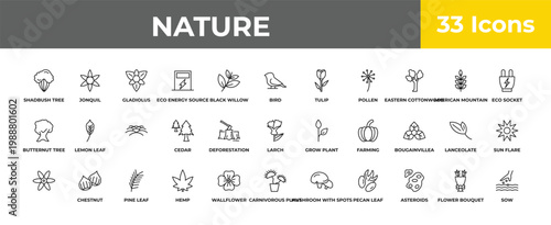 outline nature icons set - , chestnut, sow. editable vector for web and mobile ui