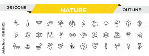 outline nature icons set - apricot leaf leaf, dandelion, solar. editable vector for web and mobile ui