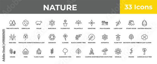 outline nature icons set - magnolia leaf, fern, american elm tree. editable vector for web and mobile ui