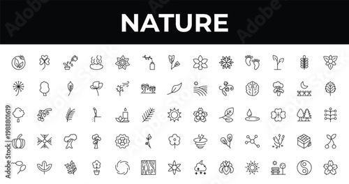 outline nature icons set - floral decorations, bigtooth aspen tree, daisy on pot. editable vector for web and mobile ui