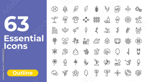 outline nature icons set - acicular, picket fence, black birch tree. editable vector for web and mobile ui