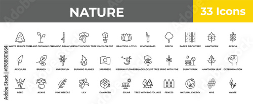 outline nature icons set - hypericum, agave, ovate. editable vector for web and mobile ui