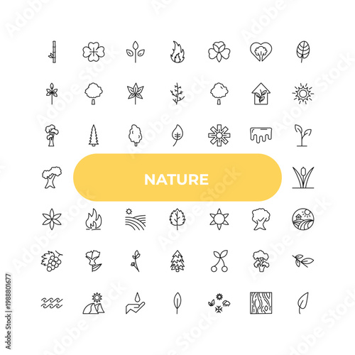 outline nature icons set - shagbark hickory tree, flame, cherry leaf. editable vector for web and mobile ui