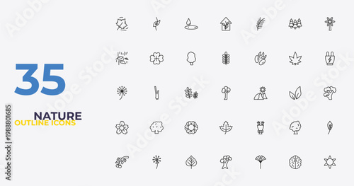 outline nature icons set - nut leaf, flower bouquet, gerbera. editable vector for web and mobile ui