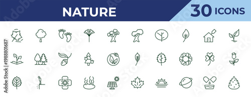 outline nature icons set - northern red oak tree, grows, bigtooth aspen tree. editable vector for web and mobile ui