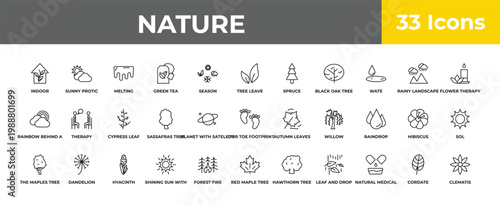 outline nature icons set - cypress leaf, dandelion, clematis. editable vector for web and mobile ui