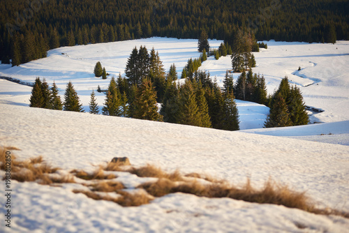 Snow covered meadow in Ore Mountains