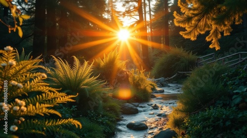 Warm Golden Hour Light Reflecting on River Through Dense Forest Canopy
