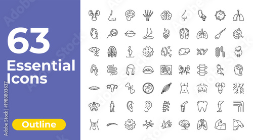 outline human body parts icons set - human hand bones, digestive system, bones joint. editable vector for web and mobile ui