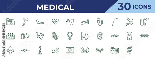 outline medical icons set - gallbladder, epidermis, femur. editable vector for web and mobile ui