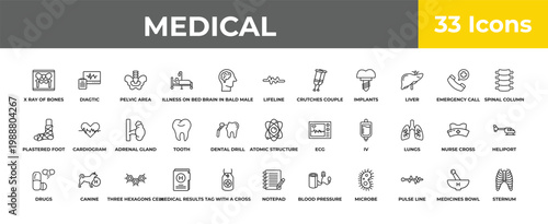outline medical icons set - adrenal gland, canine, sternum. editable vector for web and mobile ui
