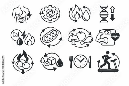 Metabolism Line Icons Set Representing Metabolic Process, Energy Production, Digestion, and Cellular Chemical Reactions in Human Body, Simple Flat Vector Illustration for Health and Science
