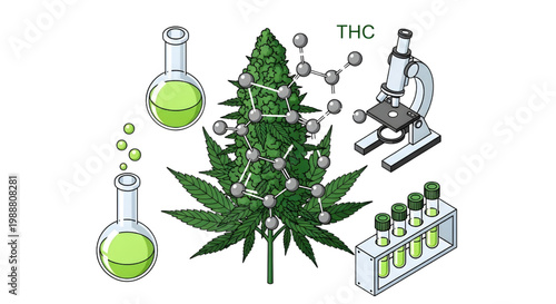 Isometric Cannabis Plant with Molecular Structure, Medical Lab Scientific Vector Illustration