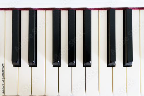 Close-up view of piano keys featuring black and white keys arranged in a row, highlighting the contrast and texture of the musical instrument