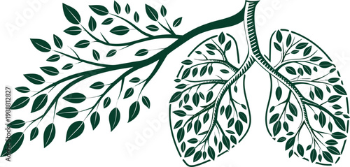 Illustration of lungs made of leaves connected to a tree branch, symbolizing health and nature.