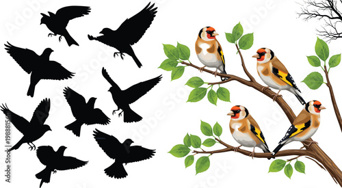 Bird silhouettes and realistic goldfinch birds on branches with green leaves, wildlife nature vector illustration set for design and decorative use