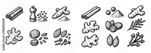 Culinary icons with cinnamon ginger clove sketch