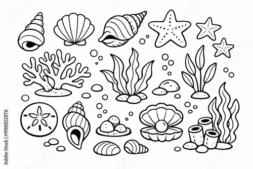 Vector set of hand-drawn sea life line art elements featuring various seashells, starfish, coral reefs, seaweed, sand dollar, and pearl oysters for coloring pages and ocean-themed illustrations.